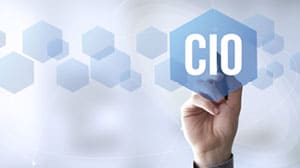 Virtual CIO services